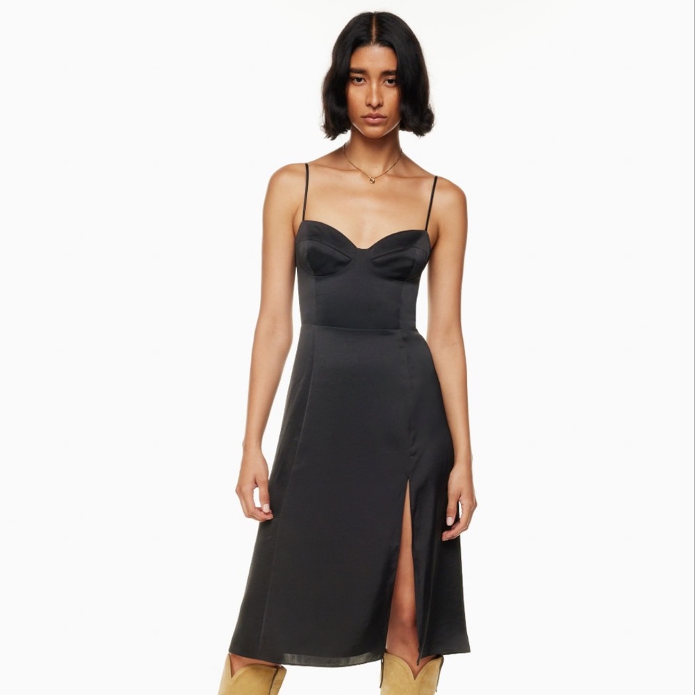 Aritzia Wilfred Glaze Dress